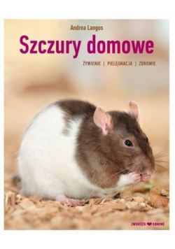 Szczury domowe