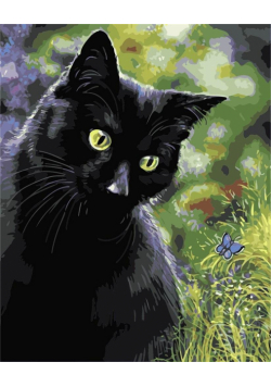 Malowanie po numerach - Czarny kot 30x40cm