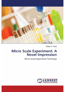 Micro Scale Experiment