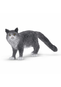 Kot Maine Coon