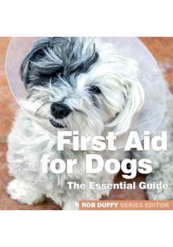First Aid for Dogs