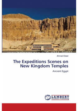 The Expeditions Scenes on New Kingdom Temples
