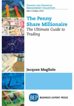 The Penny Share Millionaire