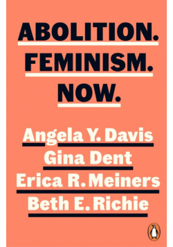 Abolition Feminism Now