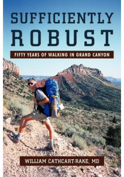 Sufficiently Robust
