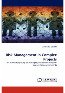 Risk Management in Complex Projects