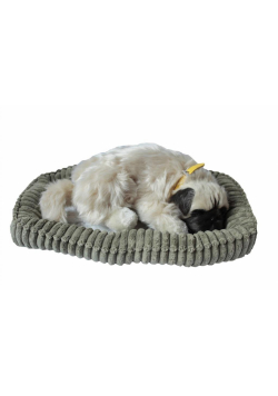 Śpiący pies na poduszce - Mops