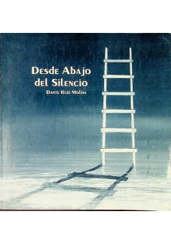 Desde abajo del silencio
