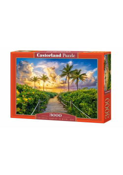 Puzzle 3000 Colorful Sunrise in Miami, USA