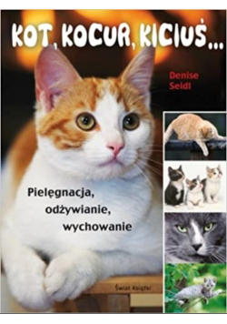 Kot kocur kiciuś