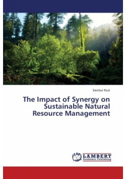 The Impact of Synergy on Sustainable Natural Resource Management