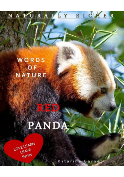 Red Panda