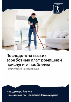 Последствия низких заработных плат домашней прислуги и проблемы