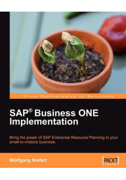 SAP Business ONE Implementation
