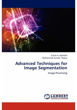 Advanced Techniques  for Image Segmentation