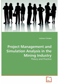 Project Management and Simulation Analysis in the Mining Industry