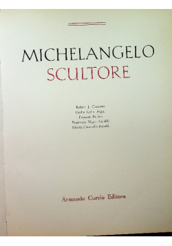 Michelangelo Scultore