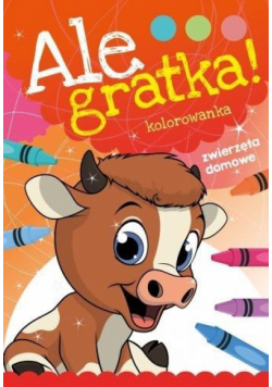 Ale Gratka! Zwierzęta domowe