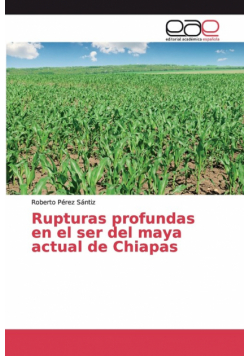 Rupturas profundas en el ser del maya actual de Chiapas