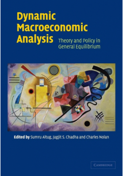 Dynamic Macroeconomic Analysis