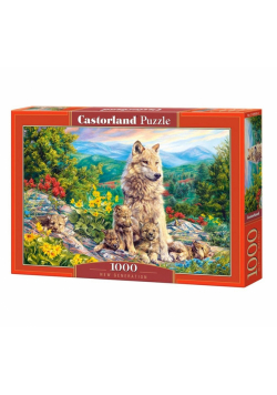 Puzzle 1000 New Generation CASTOR