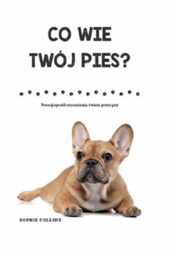Co wie Twój pies?
