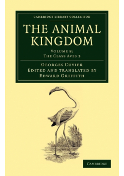 The Animal Kingdom - Volume 8
