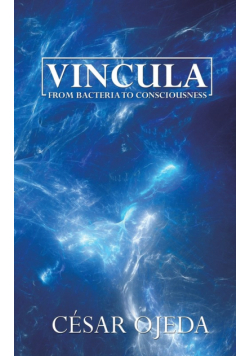 Vincula