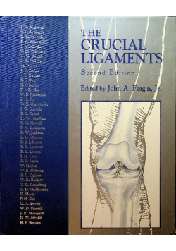 The Crucial Ligaments