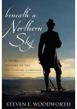 Beneath a Northern Sky