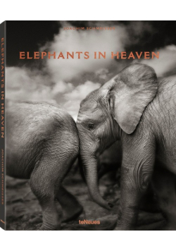 Elephants in Heaven