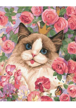 Malowanie po numerach - Kot w różach 40x50 cm