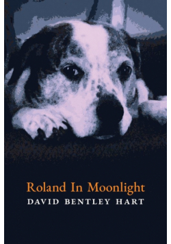 Roland in Moonlight