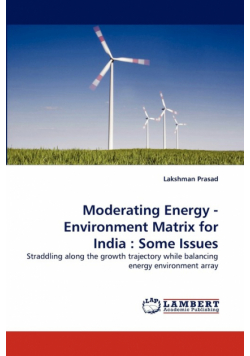 Moderating Energy - Environment Matrix for India