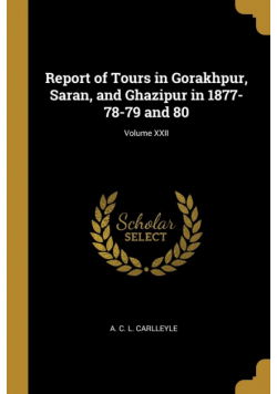 Report of Tours in Gorakhpur, Saran, and Ghazipur in 1877-78-79 and 80; Volume XXII