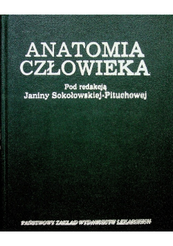 Anatomia człowieka