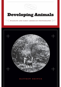 Developing Animals
