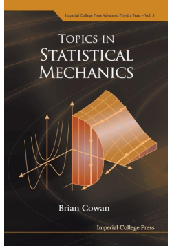 Topics in Statistical Mechanics