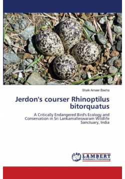 Jerdon's courser Rhinoptilus bitorquatus
