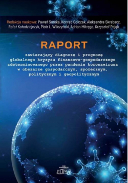 Raport zawierający diagnozę i prognozę..