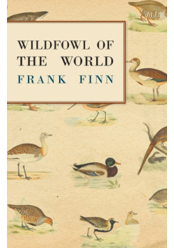 Wildfowl of the World