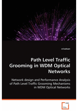 Path Level Traffic Grooming in WDM Optical Networks