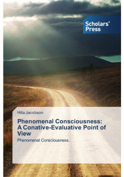 Phenomenal Consciousness