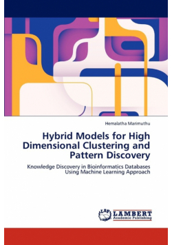 Hybrid Models for High Dimensional Clustering and Pattern Discovery