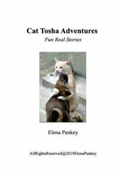 Cat Tosha Adventure