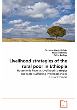 Livelihood strategies of the rural poor in Ethiopia