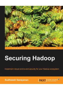 Securing Hadoop