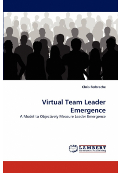 Virtual Team Leader Emergence