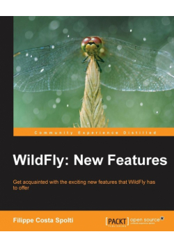 Wildfly