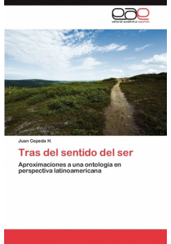 Tras del sentido del ser